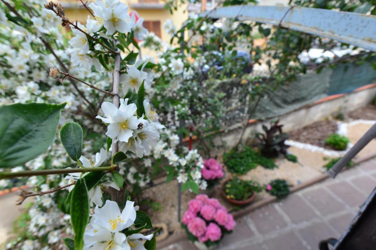 Apartment Elisabetta *