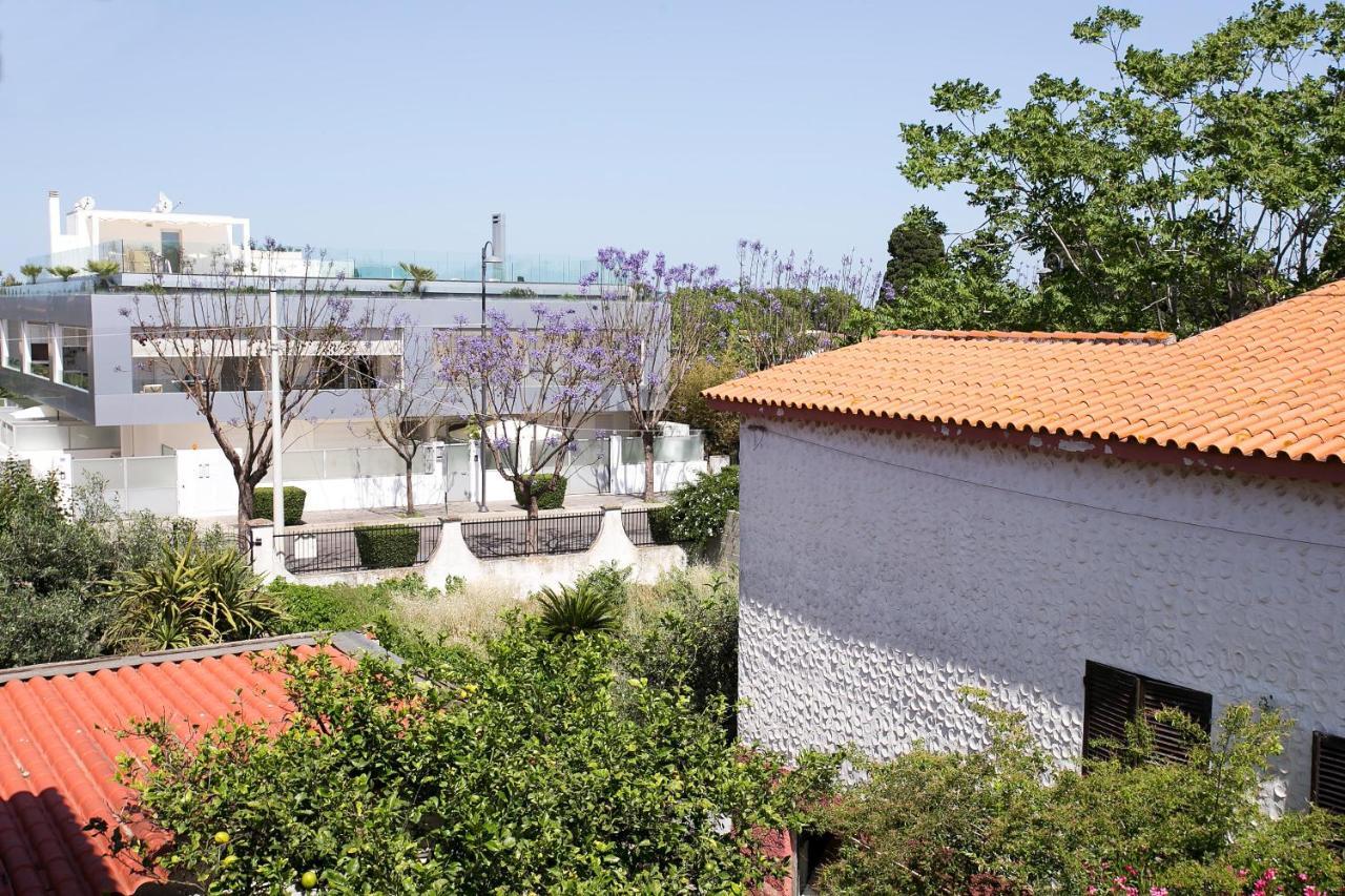 Elisabetta Apartment Pula